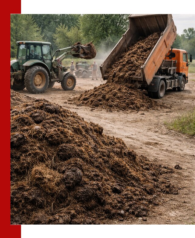 Доставка навоза самосвалами в донском для сельхозпотребностей