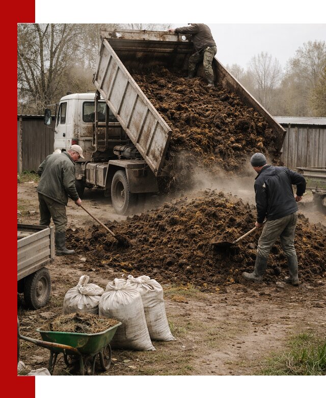 Доставка коровьего навоза самосвалом в донском